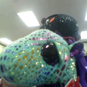 Meet your Posher, Gianna